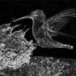 Matemáticas para la Salud